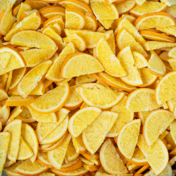 Gevriesdroogde sinaasappel schijfjes